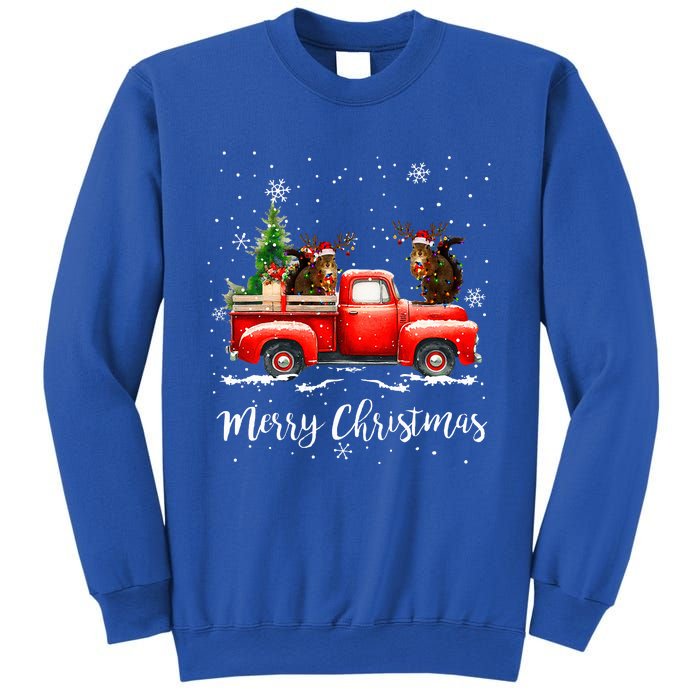 Squirrel Riding Red Truck Christmas Decorations Pajama Sweatshirt