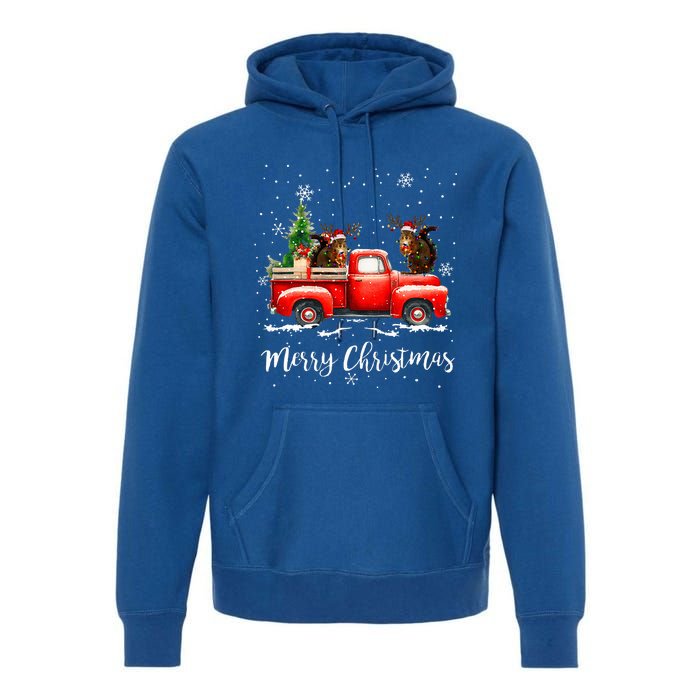 Squirrel Riding Red Truck Christmas Decorations Pajama Premium Hoodie