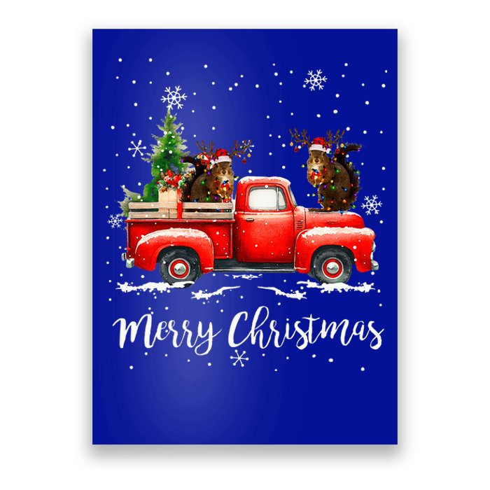 Squirrel Riding Red Truck Christmas Decorations Pajama Poster