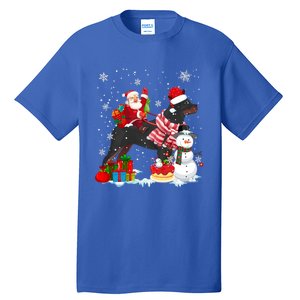 Santa Riding Rottweiler Christmas Pajama Family Snow Great Gift Tall T-Shirt