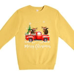 Squirrel Riding Red Truck Christmas Decorations Pajama Premium Crewneck Sweatshirt