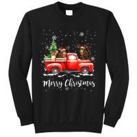 Squirrel Riding Red Truck Christmas Decorations Pajama Sweatshirt