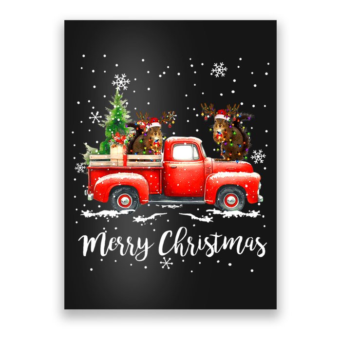 Squirrel Riding Red Truck Christmas Decorations Pajama Poster