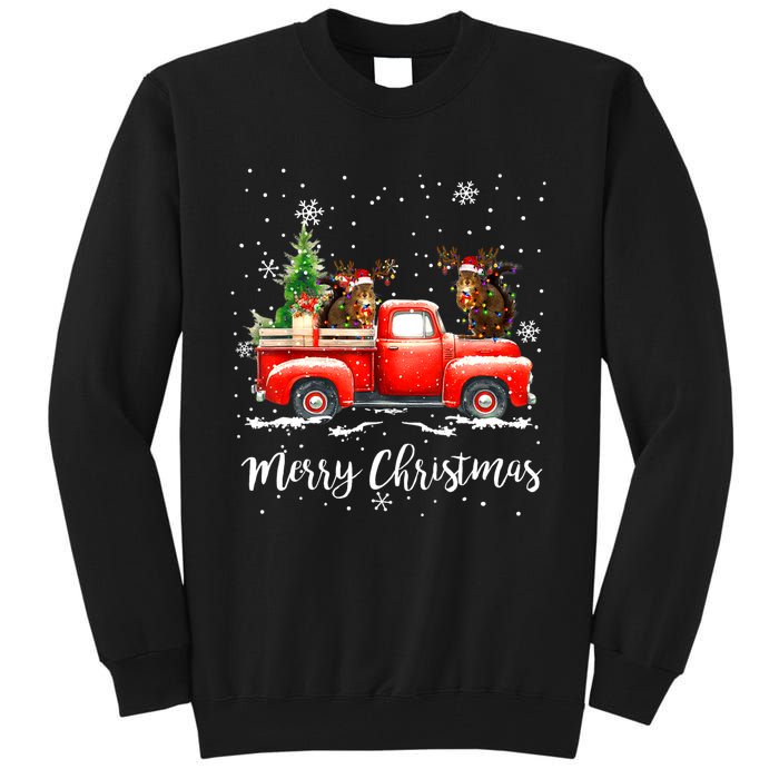 Squirrel Riding Red Truck Christmas Decorations Pajama Tall Sweatshirt