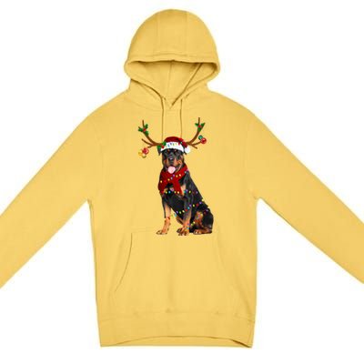 Santa Rottweiler Reindeer Light Christmas Funny Gift Premium Pullover Hoodie