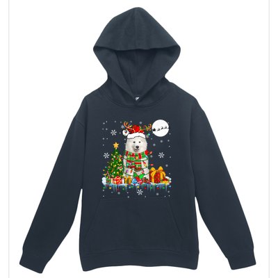 Santa Reindeer Samoyed Christmas Tree Lights Dog Lover Owner Cool Gift Urban Pullover Hoodie