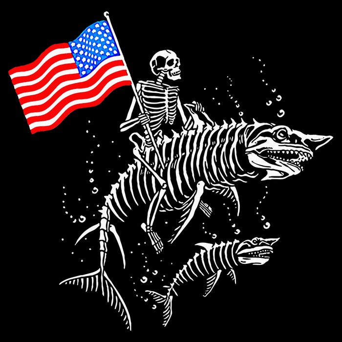 Skeleton Ride Shark 4th Of July Pom Pom 12in Knit Beanie