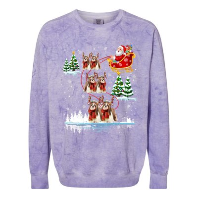 Santa Riding Shih Tzu Reindeer Christmas Pajama Matching Cool Gift Colorblast Crewneck Sweatshirt