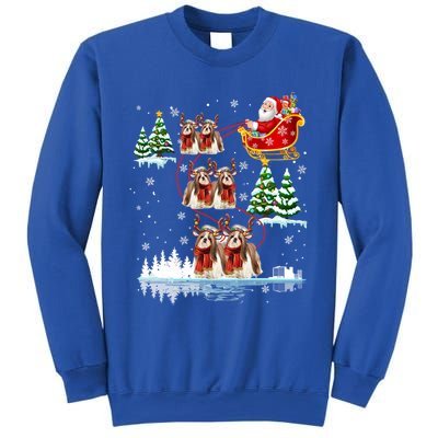 Santa Riding Shih Tzu Reindeer Christmas Pajama Matching Cool Gift Sweatshirt