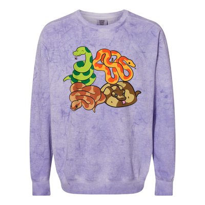 Snake Reptile Serpents Funny Snakes Colorblast Crewneck Sweatshirt