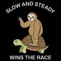 Sloth Riding Turtle Slow And Steady Wins The Race Funny Button