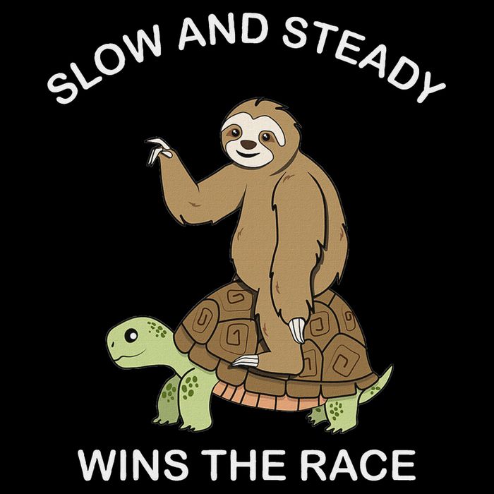 Sloth Riding Turtle Slow And Steady Wins The Race Funny Button