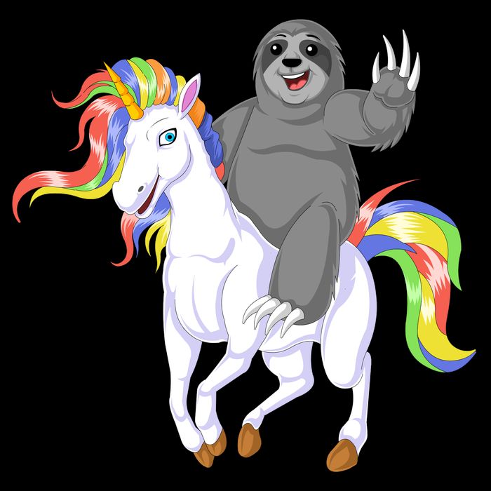 Sloth Riding Unicorn Hoodie
