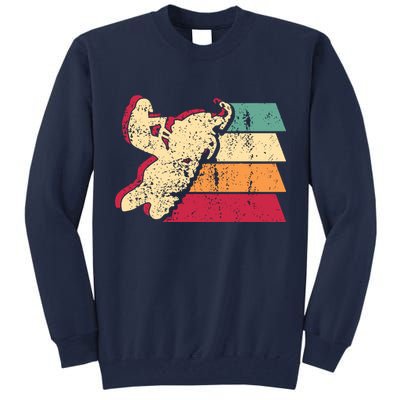 Snowmobiling Retro Vintage Tall Sweatshirt