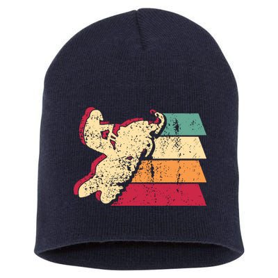 Snowmobiling Retro Vintage Short Acrylic Beanie