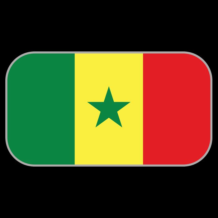 Senegal Soccer 2022 World Cup Senegalese Flag City Backpack