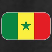 Senegal Soccer 2022 World Cup Senegalese Flag Adult Drive Performance Visor