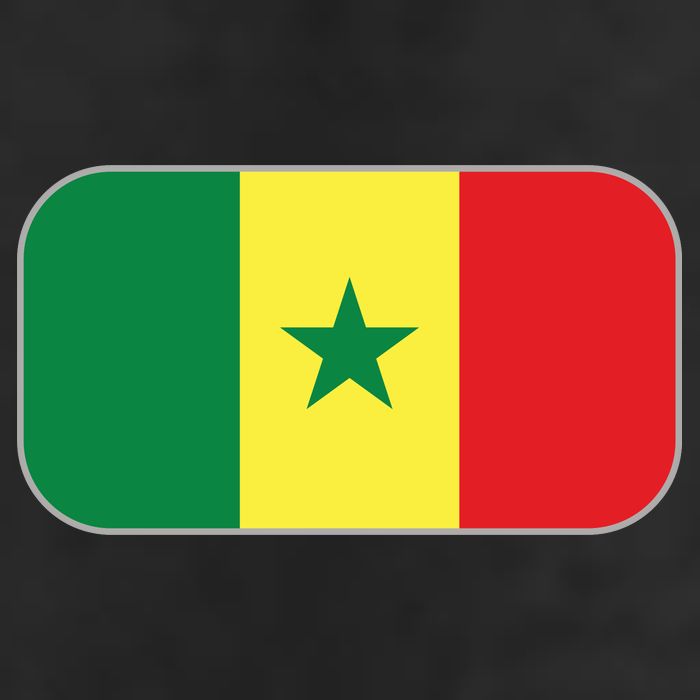 Senegal Soccer 2022 World Cup Senegalese Flag Adult Drive Performance Visor