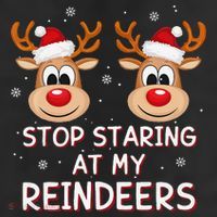 Stop Staring At My Reindeers Dirty Xmas Boob Joke 11oz C Handle Ceramic Mug