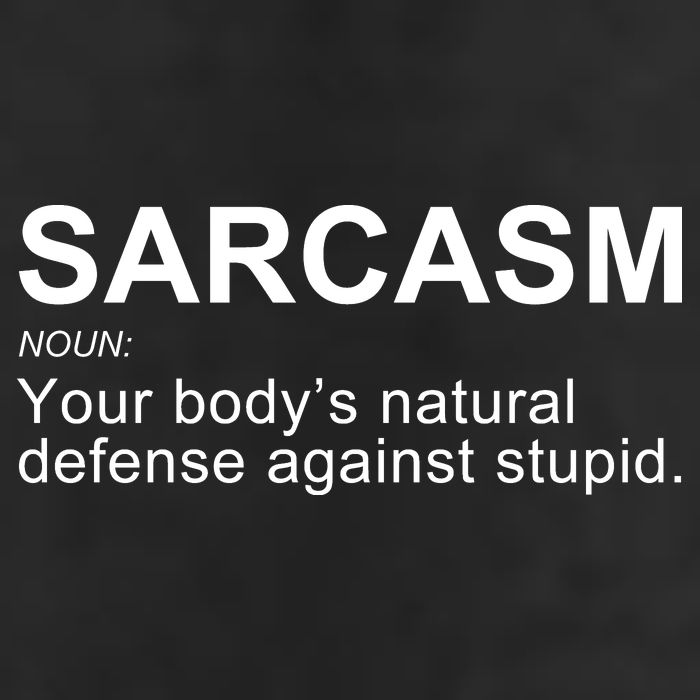 Sarcasm 15oz Campfire Ceramic Mug