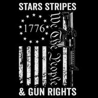 Stars Stripes And Gun Rights Pro Guns 2nd Amendment Backpack