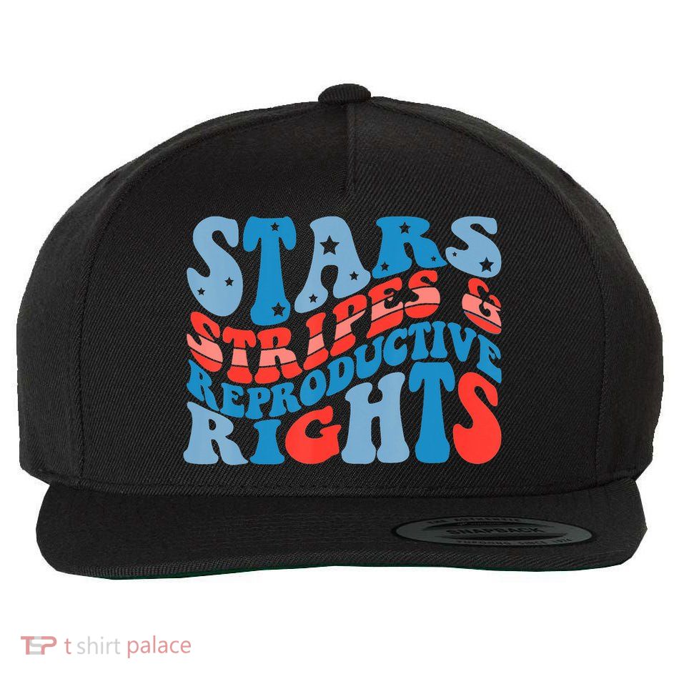 Stars Stripes And Equal Rights 4th Of July Wool Snapback Cap