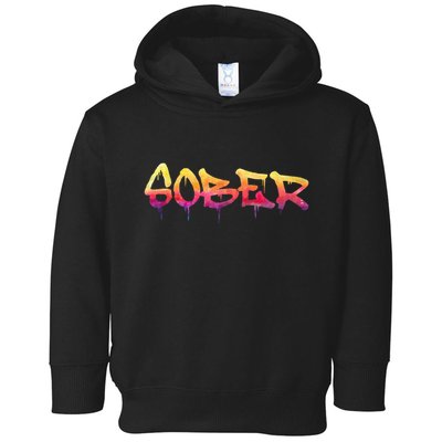 Sober Sobriety Anniversary Recovery Sober Aa Na Toddler Hoodie