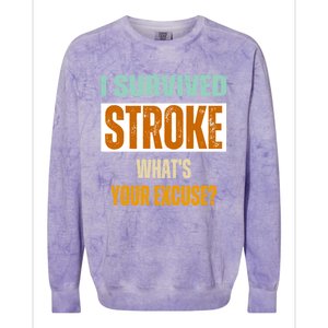 Survivor Stroke Awareness For Dad Mom 2024 Loved Ones Gift Colorblast Crewneck Sweatshirt