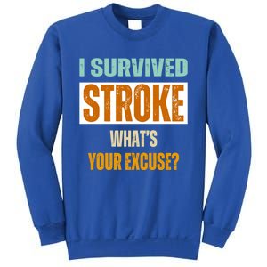 Survivor Stroke Awareness For Dad Mom 2024 Loved Ones Gift Sweatshirt