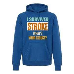 Survivor Stroke Awareness For Dad Mom 2024 Loved Ones Gift Premium Hoodie