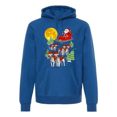 Santa Sleigh And Beagle Dogs Xmas Pajama Merry Christmas Boys Cute Gift Premium Hoodie