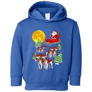 Santa Sleigh And Beagle Dogs Xmas Pajama Merry Christmas Boys Cute Gift Toddler Hoodie