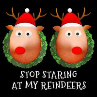 Stop Staring At My Reindeers Boob Ugly Gag Xmas Sweater  Drawstring Bag