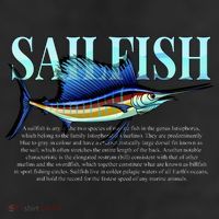 Sailfish 11oz C Handle Ceramic Mug