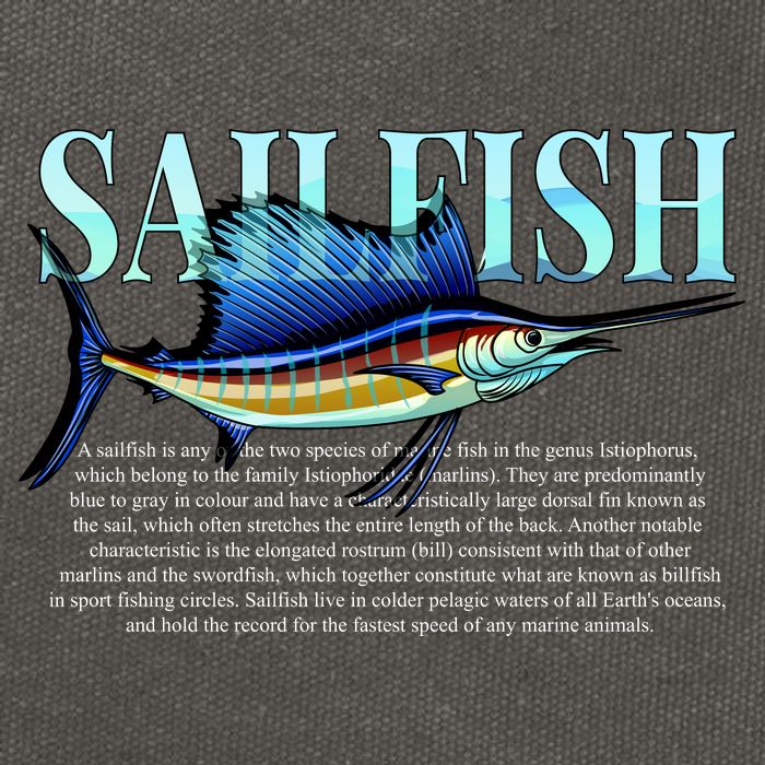 Sailfish Cotton Canvas Backpack