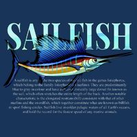 Sailfish Cool Comfort Performance Bucket Hat