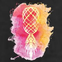 Swingers Subtle Artistic Upside Down Pineapple Gift Hat