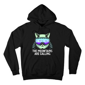 Snowboarding Skiing Art Winter Sport Skier Hoodie