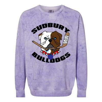 Shoresy Sudbury Blueberry Bulldogs Sudbury Bulldogs Letterkenny Colorblast Crewneck Sweatshirt