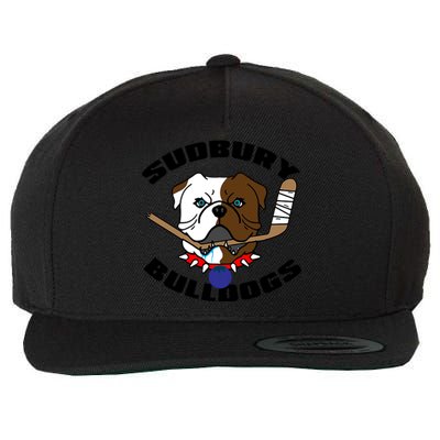 Shoresy Sudbury Blueberry Bulldogs Sudbury Bulldogs Letterkenny Wool Snapback Cap