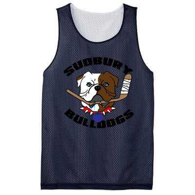 Shoresy Sudbury Blueberry Bulldogs Sudbury Bulldogs Letterkenny Mesh Reversible Basketball Jersey Tank