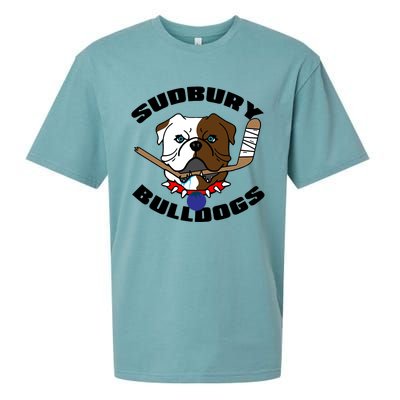 Shoresy Sudbury Blueberry Bulldogs Sudbury Bulldogs Letterkenny Sueded Cloud Jersey T-Shirt