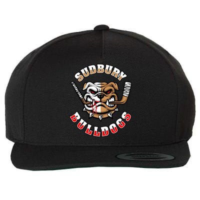 SHORESY Sudbury Blueberry Bulldogs Sudbury Bulldogs Letterkenny Wool Snapback Cap