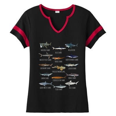 Shark Species Biology Different Types Of Sharks Ladies Halftime Notch Neck Tee