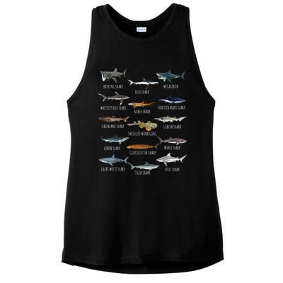 Shark Species Biology Different Types Of Sharks Ladies PosiCharge Tri-Blend Wicking Tank