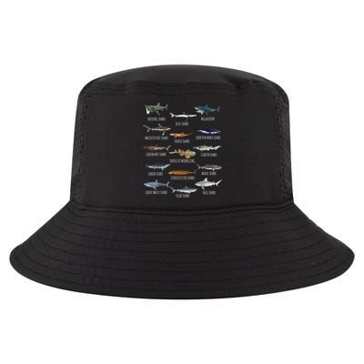Shark Species Biology Different Types Of Sharks Cool Comfort Performance Bucket Hat