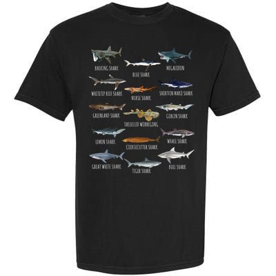 Shark Species Biology Different Types Of Sharks Garment-Dyed Heavyweight T-Shirt