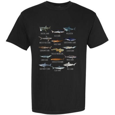 Shark Species Biology Different Types Of Sharks Garment-Dyed Heavyweight T-Shirt