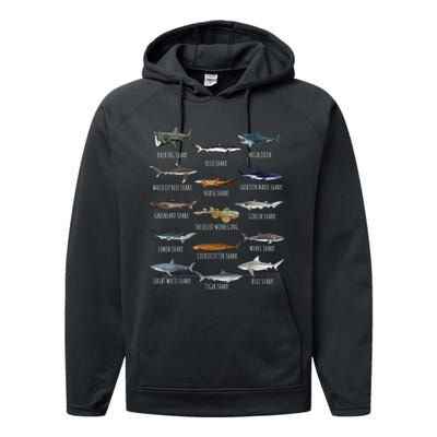 Shark Species Biology Different Types Of Sharks Performance Fleece Hoodie