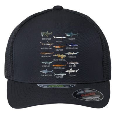 Shark Species Biology Different Types Of Sharks Flexfit Unipanel Trucker Cap